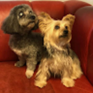 Meet your Posher, Terry